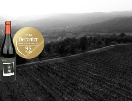 Zlatna medalja na Decanter World Wine Awards